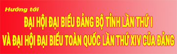 Đại hội đại biểu đảng bộ các cấp