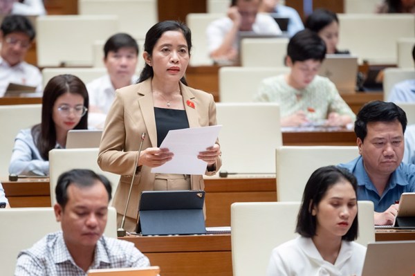 ĐBQH LÊ THỊ THANH XUÂN: XÂY DỰNG MỘT ĐẠO LUẬT CHUYÊN BIỆT VỀ TƯ PHÁP NGƯỜI CHƯA THÀNH NIÊN ĐỂ BẢO VỆ, GIÁO DỤC TRẺ EM TỐT HƠN TRONG TÌNH HÌNH MỚI