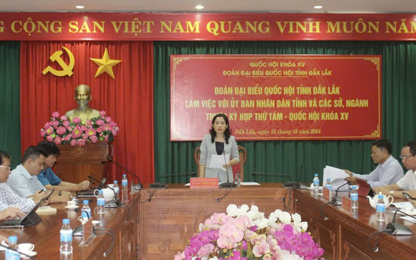 Đoàn đại biểu Quốc hội tỉnh tổ chức làm việc với UBND tỉnh và các Sở, ban, ngành để chuẩn bị nội dung cho Kỳ họp thứ 8, Quốc hội khóa XV