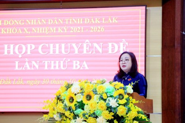 Thông cáo báo chí về Kỳ họp Chuyên đề lần thứ Tư, HĐND tỉnh khóa X, nhiệm kỳ 2021 - 2026