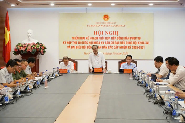 Năm 2025: Các Đoàn ĐBQH và ĐBQH tiếp 3.783 lượt người đến khiếu nại, tố cáo, kiến nghị, phản ánh