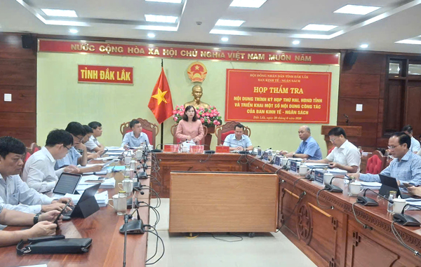 Ban Kinh tế - Ngân sách HĐND tỉnh thẩm tra các nội dung trình  Kỳ họp thứ Hai, HĐND tỉnh khóa XI