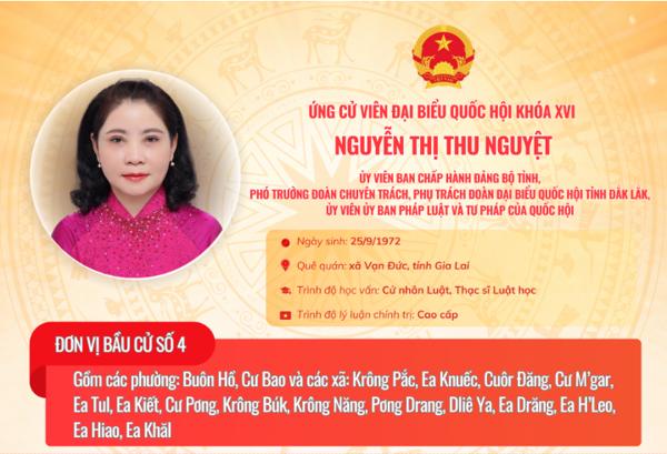 (Infographic) Tóm tắt Chương trình hành động của các ứng cử viên đại biểu Quốc hội khóa XVI: Đơn vị bầu cử số 4 tỉnh Đắk Lắk