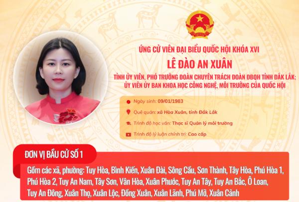 (Infographic) Tóm tắt Chương trình hành động của các ứng cử viên đại biểu Quốc hội khóa XVI: Đơn vị bầu cử số 1 tỉnh Đắk Lắk