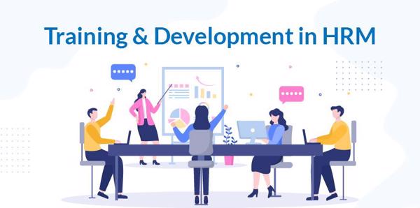Phát triển nguồn nhân lực chất lượng cao - động lực thúc đẩy tăng trưởng nhanh và bền vững của tỉnh