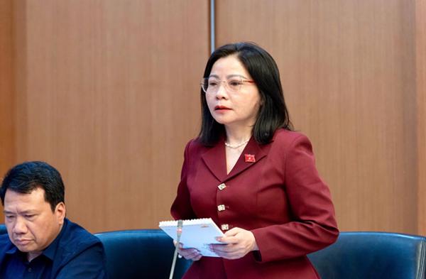 Đoàn đại biểu Quốc hội tỉnh thảo luận tại Tổ về các dự án Luật 