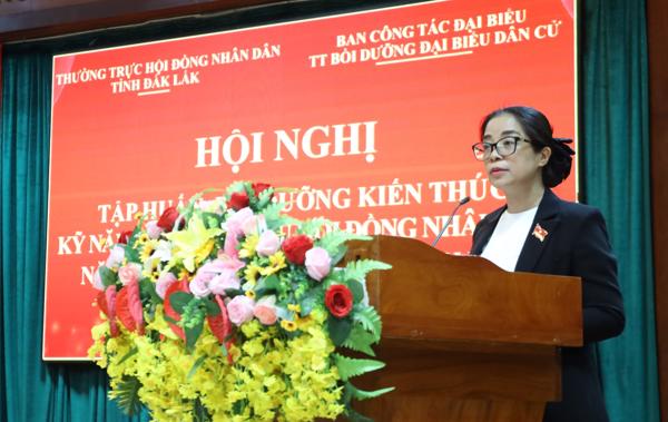 Hội nghị tập huấn, bồi dưỡng kiến thức, kỹ năng hoạt động cho đại biểu Hội đồng nhân dân tỉnh Đắk Lắk