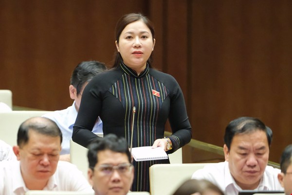 Chất vấn và trả lời nội dung chất vấn của đại biểu Quốc hội Phúc Bình Niê Kdăm