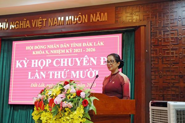 Kỳ họp chuyên đề lần thứ Mười, Hội đồng nhân dân tỉnh khóa X 