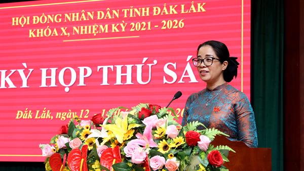 Kỳ họp thứ Sáu, Hội đồng nhân dân tỉnh Khóa X